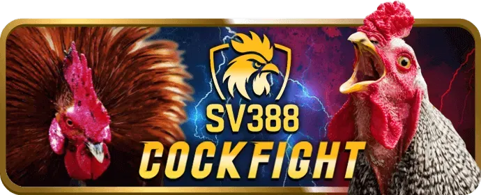 Chính sách cookie 58vin